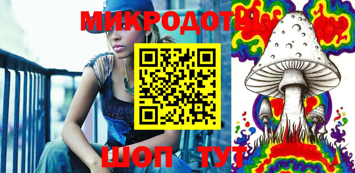 Петрозаводск  Галлюциногенные грибы Psilocybine cubensis  Галлюциногенные грибы прущие грибы  Вход с VPN 